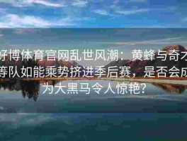 好博体育官网乱世风潮：黄蜂与奇才等队如能乘势挤进季后赛，是否会成为大黑马令人惊艳？